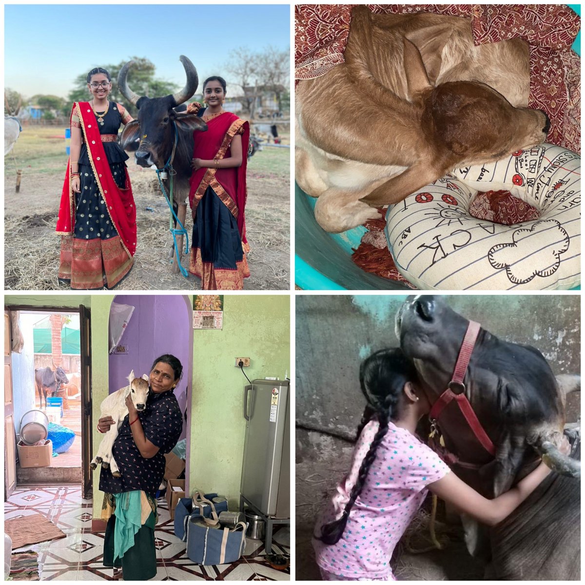 Giving the animals the love and care they deserve - Manure Marvel